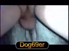 Man giving dog creampie inside its pussy